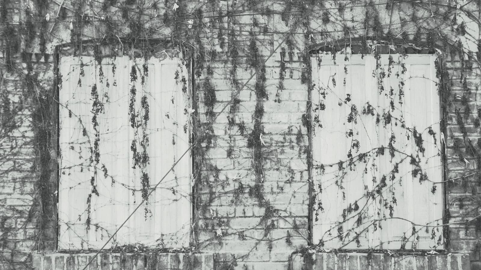 Photograph of a bare concrete building facade with a level horizon and a repeating window grid.